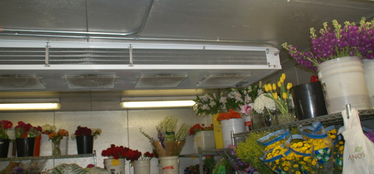 Six Commercial Walk-In Cooler & Freezer Maintenance Tips